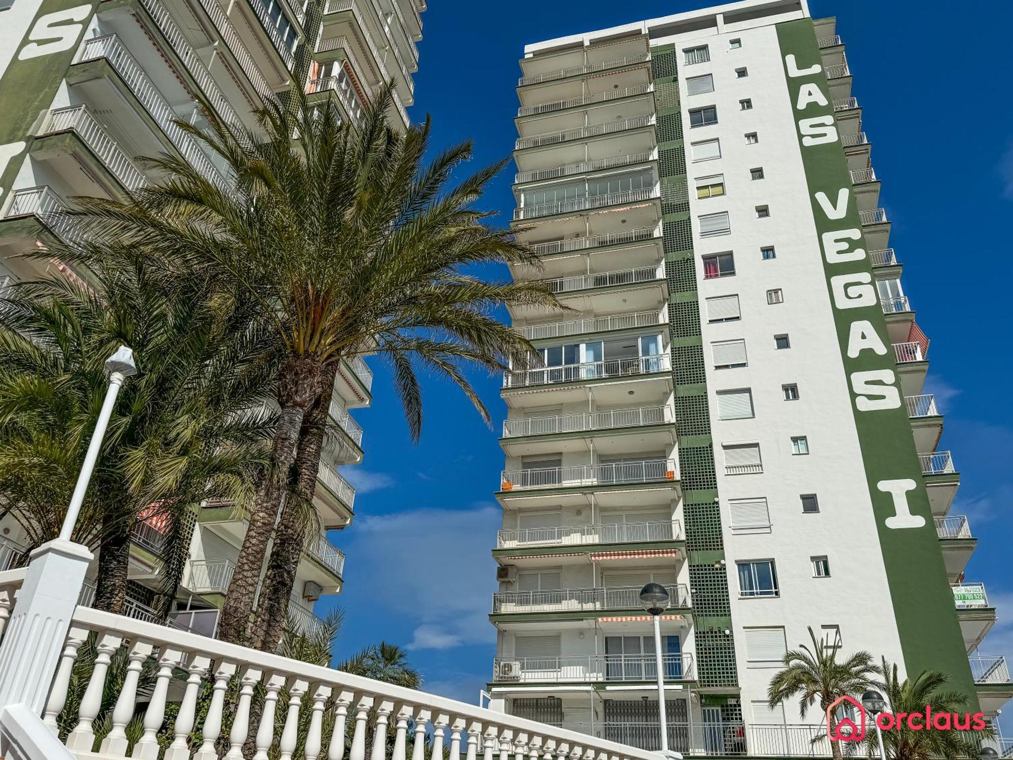 Las Vegas Paradise أوروبيسا ذيل مار المظهر الخارجي الصورة