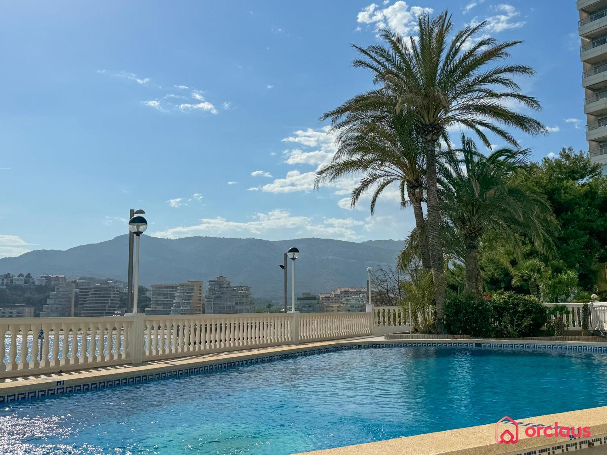 Las Vegas Paradise أوروبيسا ذيل مار المظهر الخارجي الصورة